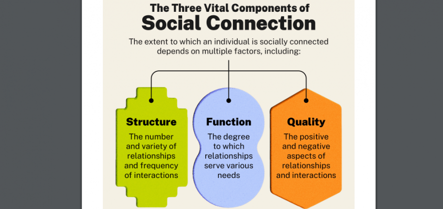 social connection